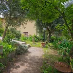 Panoramica Garden Bike *