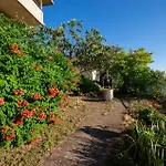 Panoramica Garden Bike *