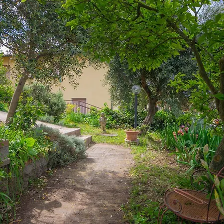 Panoramica Garden Bike *